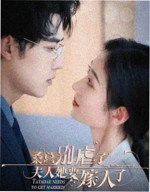 长巷灯火剧集封面 免费电影播放器片单条目